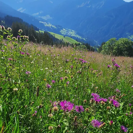 Alpenstolz Haus 3 - Stilvoll Urlauben In Den Bergen