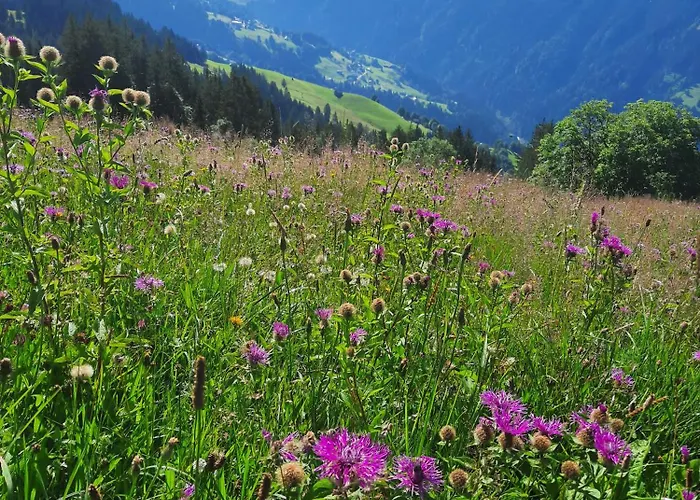 Alpenstolz Haus 3 - Stilvoll Urlauben In Den Bergen